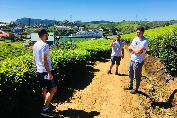 Explore Nuwara Eliya - Waterfall/ Tea Factory/ Food Taste - Photo 1 of 5